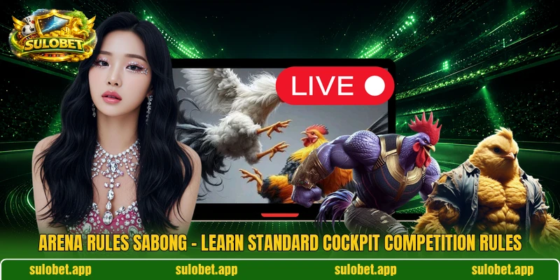 Arena Rules Sabong – Learn Standard Cockpit Competition Rules