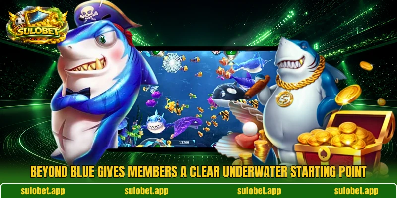 Beyond Blue gives members a clear underwater starting point