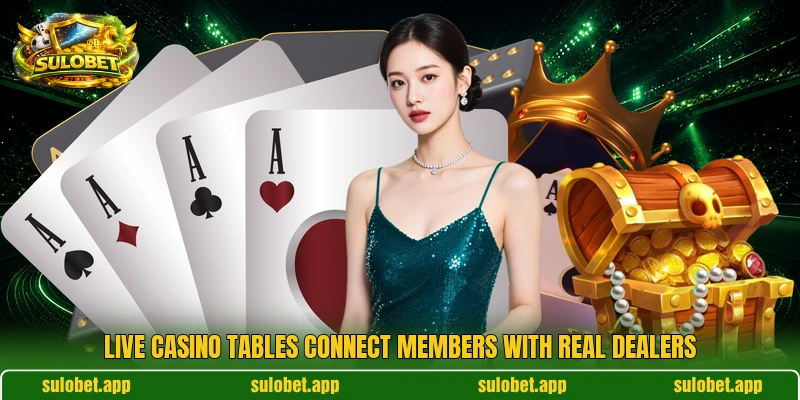 Live casino tables connect members with real dealers