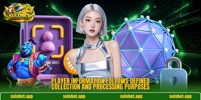 Player information follows defined collection and processing purposes