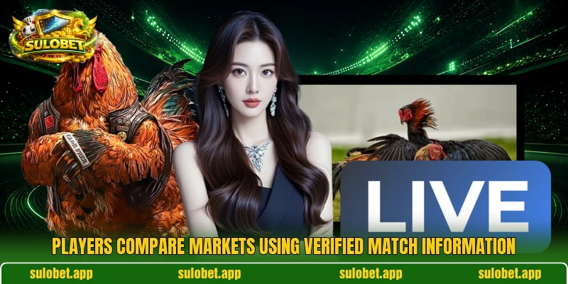 Players compare markets using verified match information